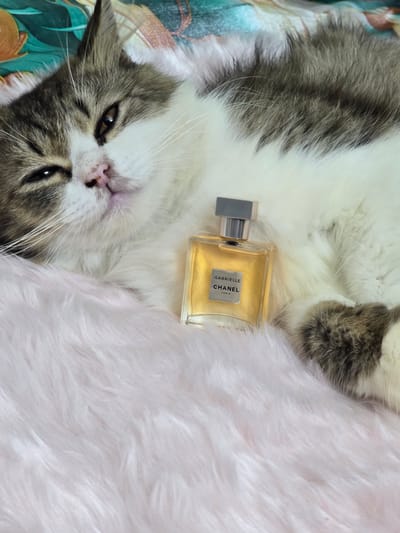 Chanel Gabrielle edp 10ml Official Miniature for women_img_1